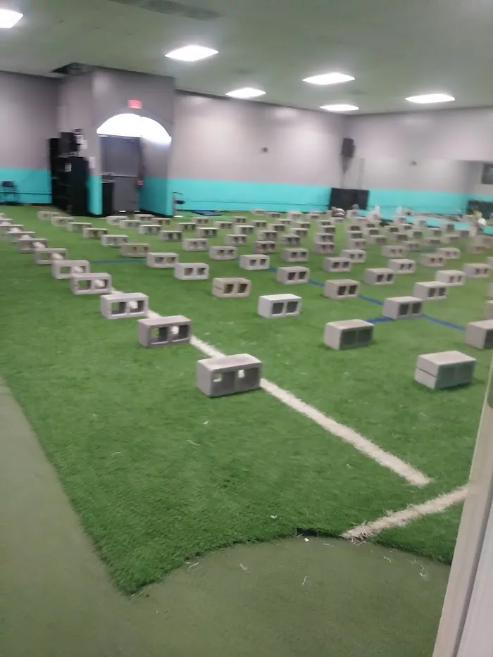 E.F.F.E.C.T Fitness 7