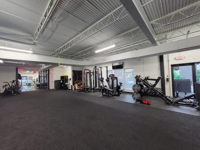 Lion Chaser Fitness 2