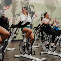 LA Fitness ico