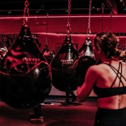 Pepper Boxing ico
