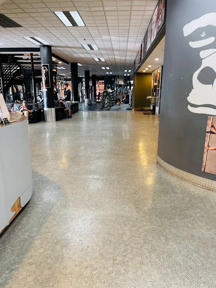 The Gym 7