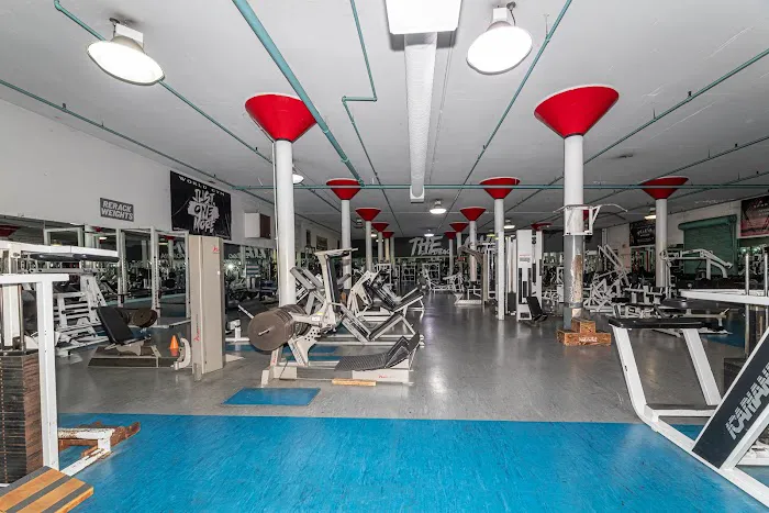 The Gym 8