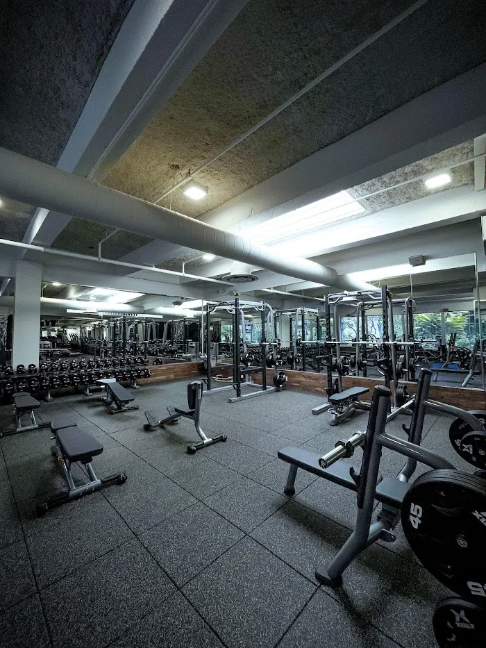 Live Fit Gym • Castro 0