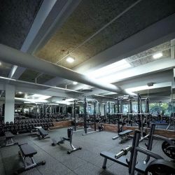 Live Fit Gym • Castro ico