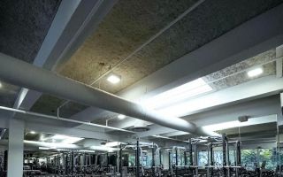 castro fitness sf