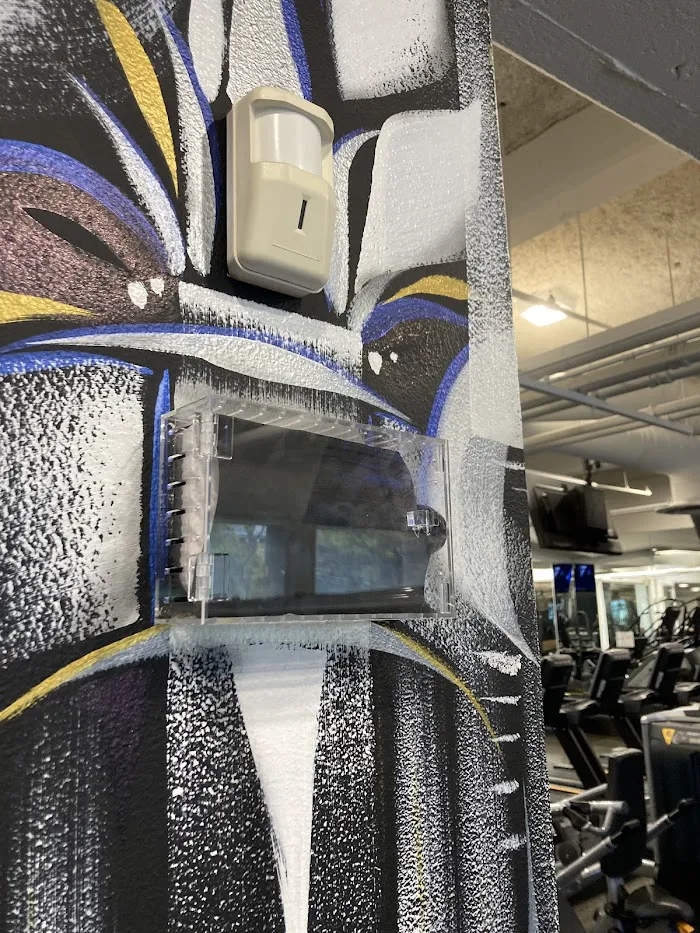 Live Fit Gym • Castro 9