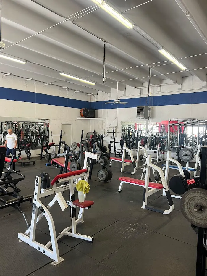 The Gym 5