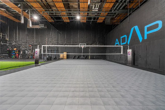 ADAPT 6
