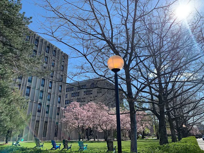 MIT Recreation - Alumni Pool and Wang Fitness Center 5