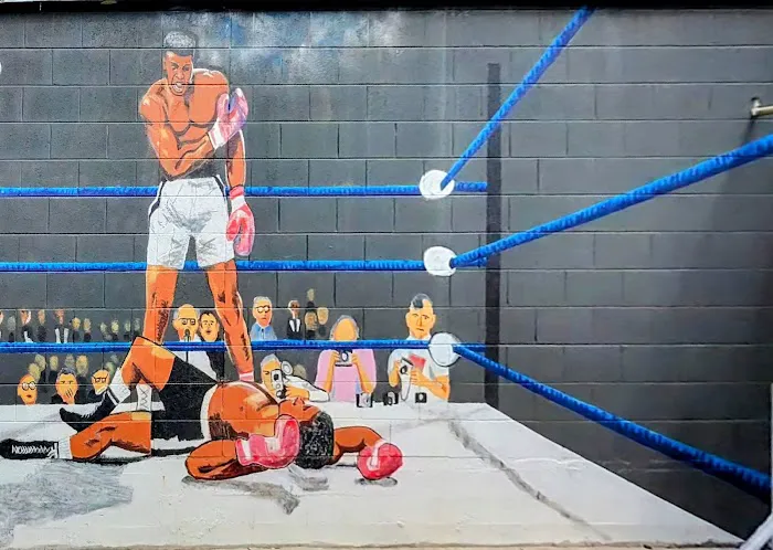 Boxing Is For Girls 0