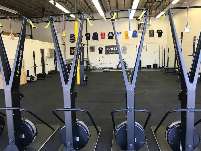 The Maximus Gym 3