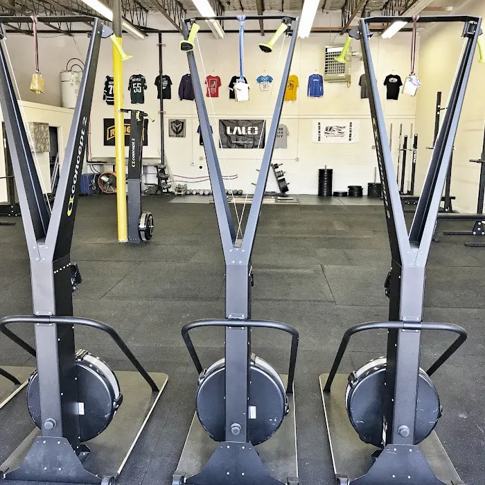 The Maximus Gym 2