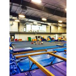 Gymnastics Training Center ico