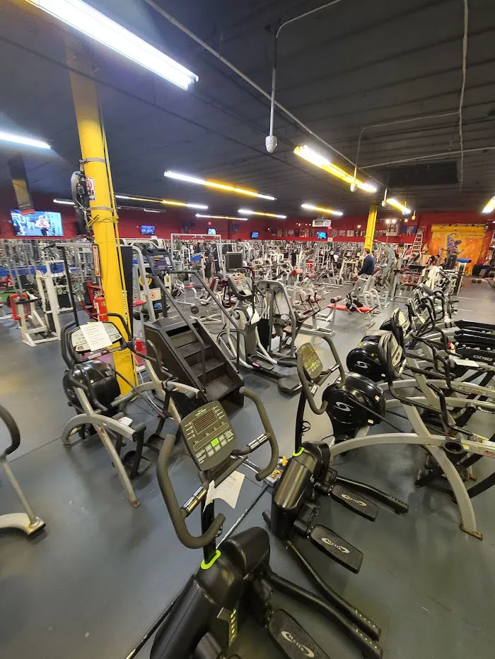 Coliseum Gym 2.0 2