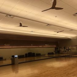 LA Fitness ico