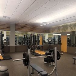 LA Fitness ico