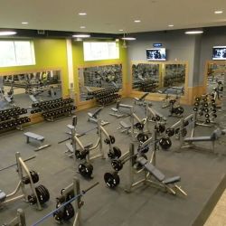 Onelife Fitness - Perimeter Sports Club ico
