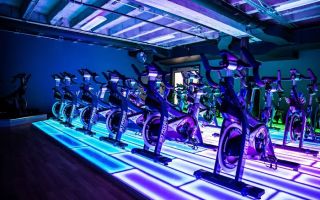 qntm gym
