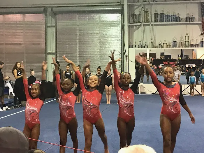 Gym South Gymnastics, Tumbling and Ninja 9