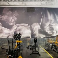 Gold's Gym
