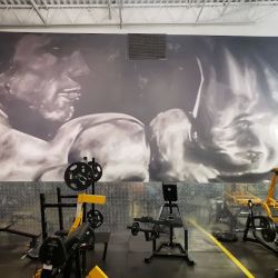 Gold's Gym ico