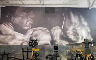 golds smyrna