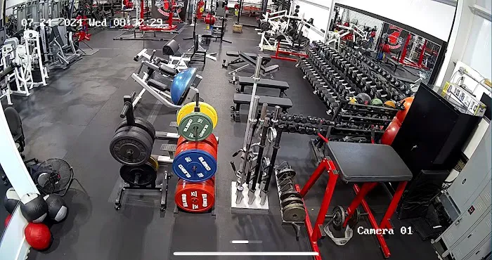 Georgia Strength Compound 2