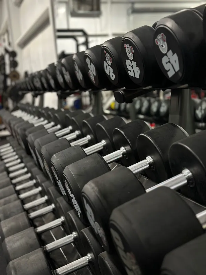 Georgia Strength Compound 4