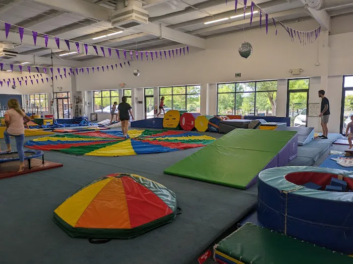 Central Gymnastics Academy 3