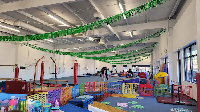 Central Gymnastics Academy 5
