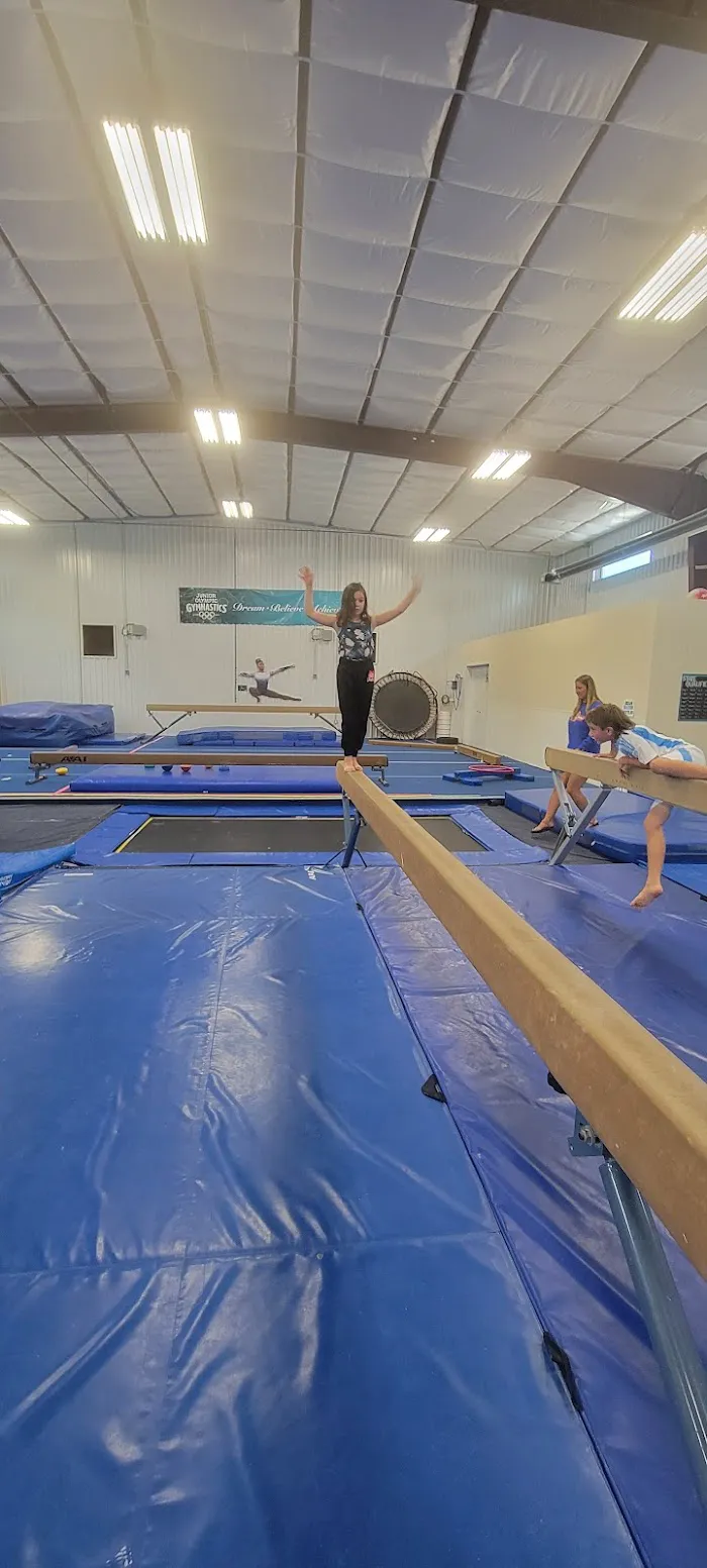 Junior Olympic Gymnastics 4