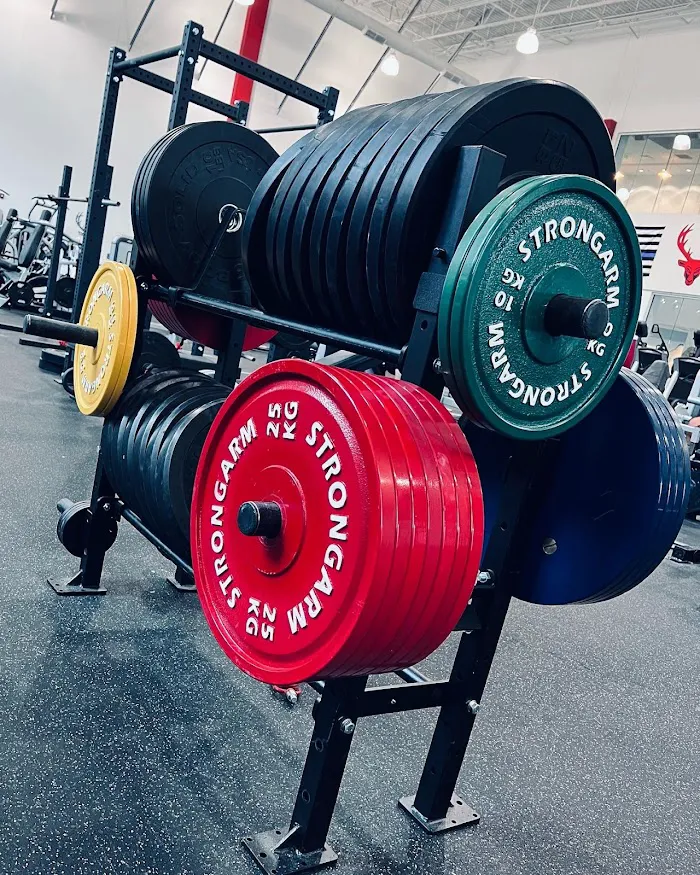 Bucked Up Fitness 1