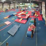 Paulding Gymnastics