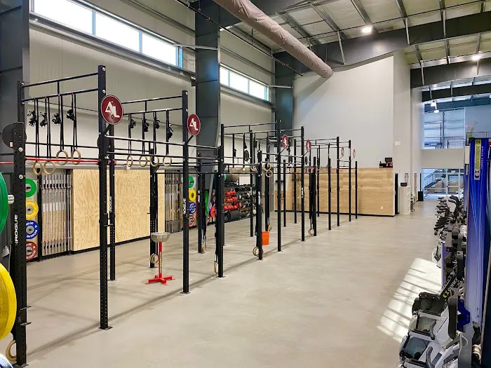 Athletic Lab 3