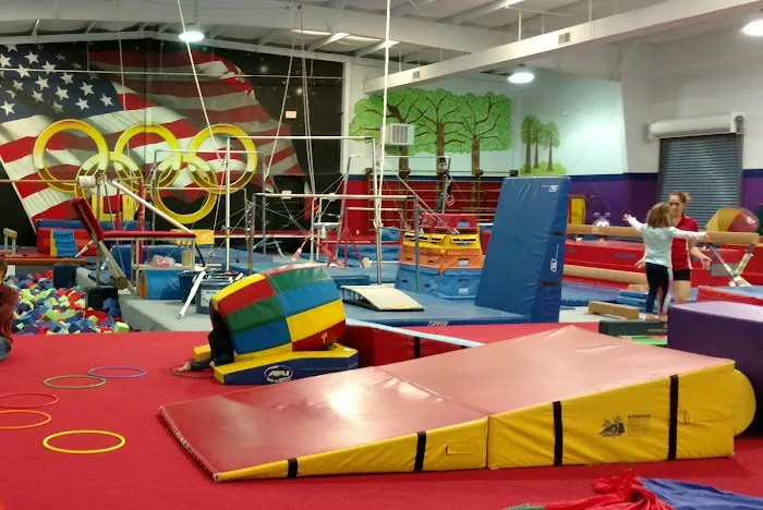 Gymcarolina Gymnastics Academy 4