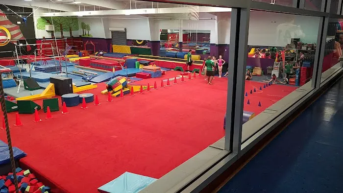 Gymcarolina Gymnastics Academy 1