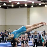 WAKE Gymnastics Inc.