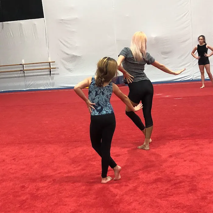 Top Gymnastics 6