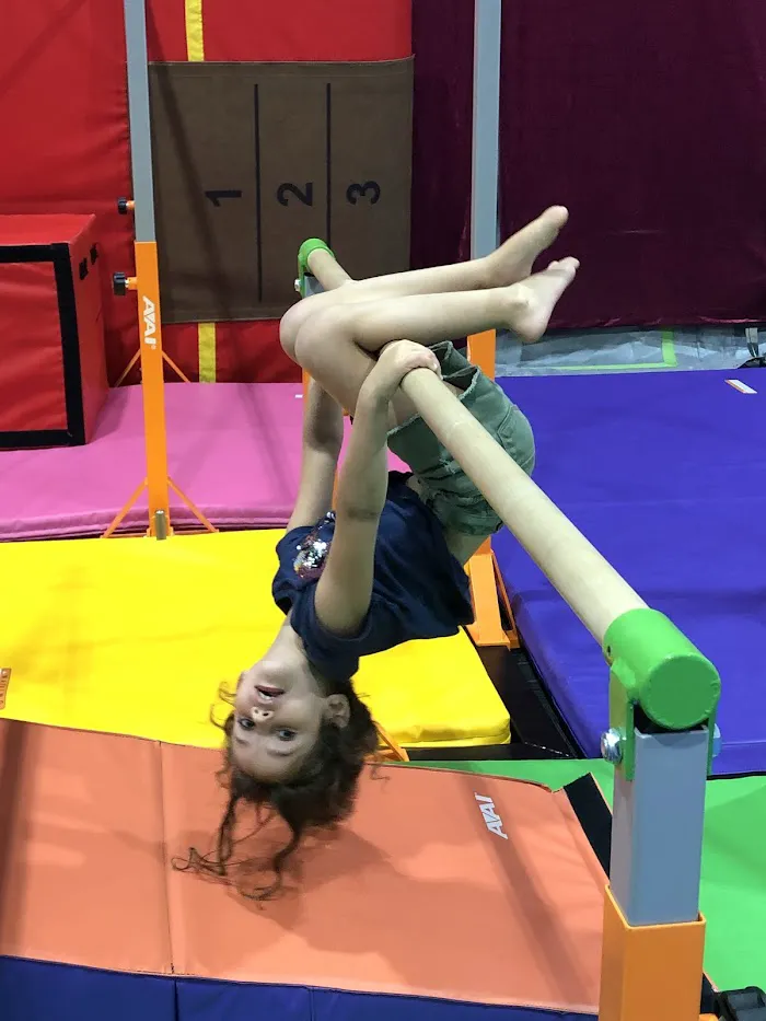 Top Gymnastics 7