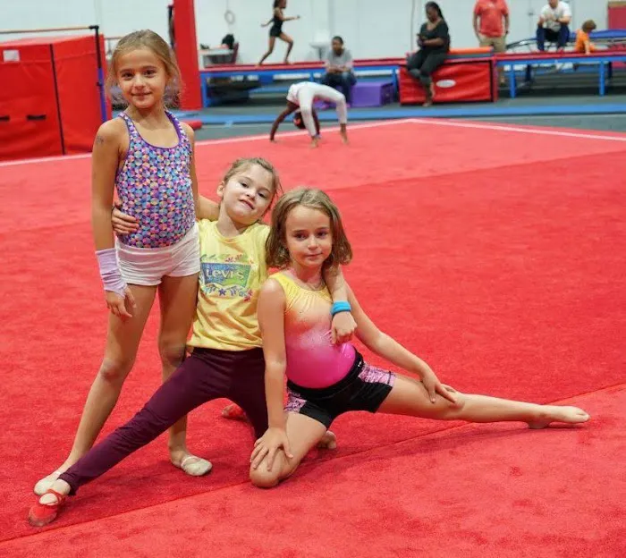 Top Gymnastics 1