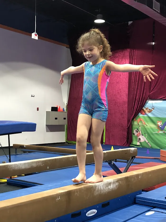 Top Gymnastics 5