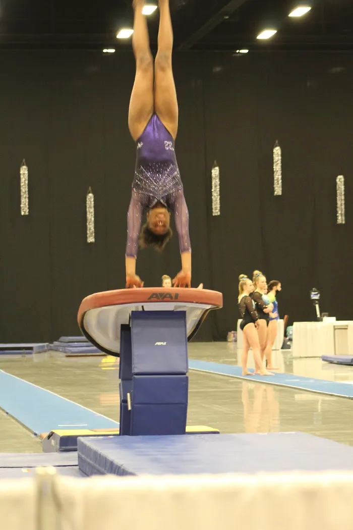 Newnan School of Gymnastics 6