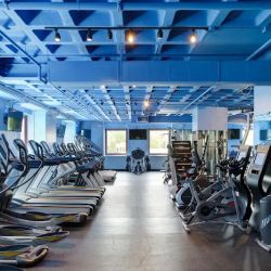 VP Fitness ico