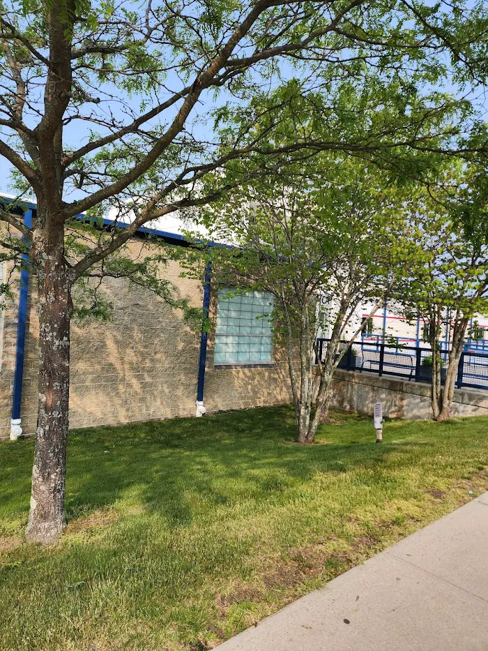 MacColl YMCA 5