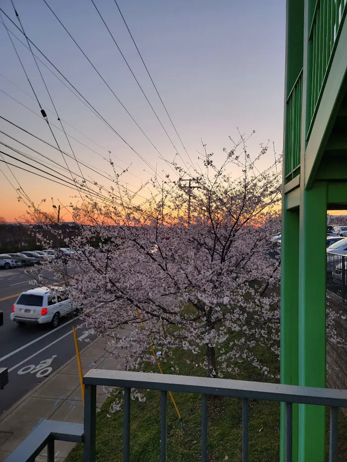 Climb Nashville West 7