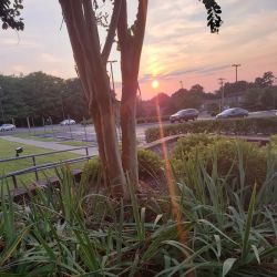 Franklin Family YMCA ico