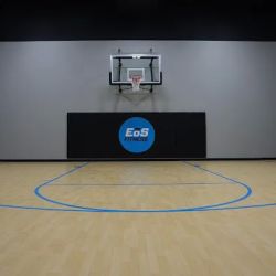 EōS Fitness ico