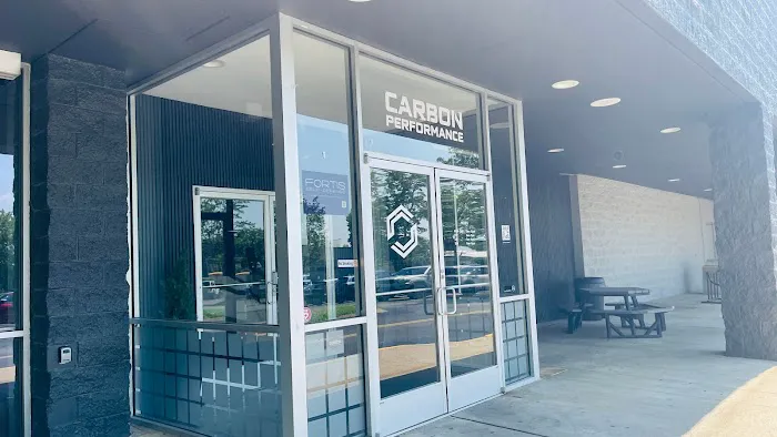 Carbon Performance 0