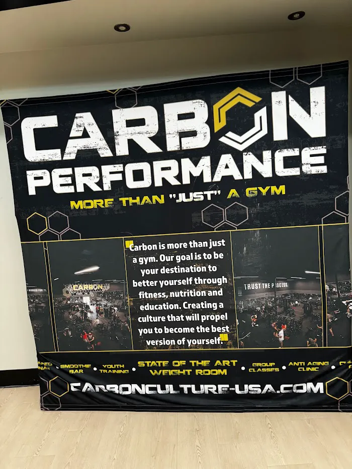 Carbon Performance 7