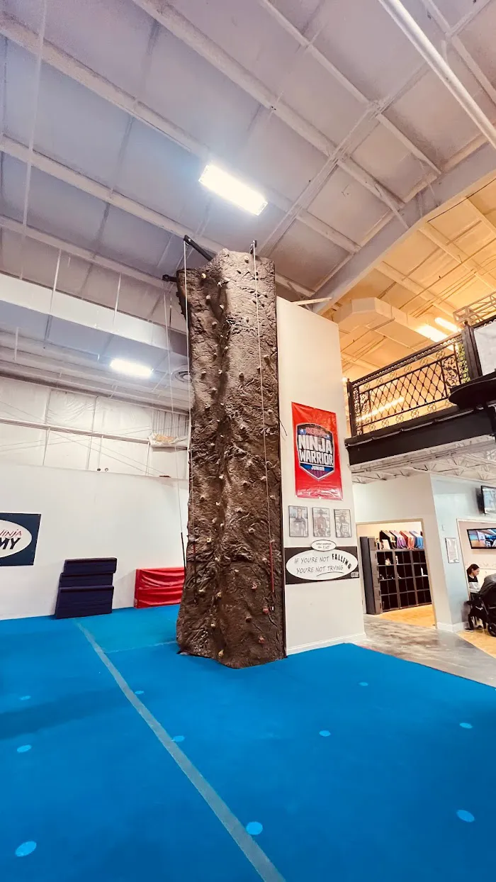 Obstacle Ninja Academy 5
